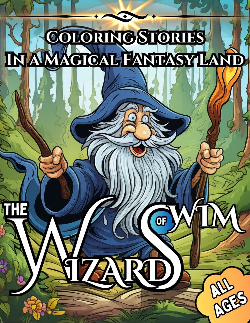 Front cover of Wizards of Wim