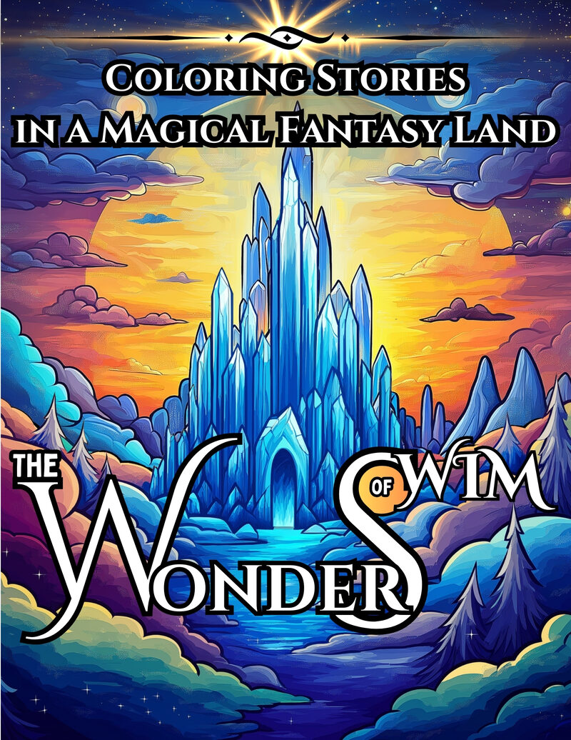 Front cover of Wonders of Wim